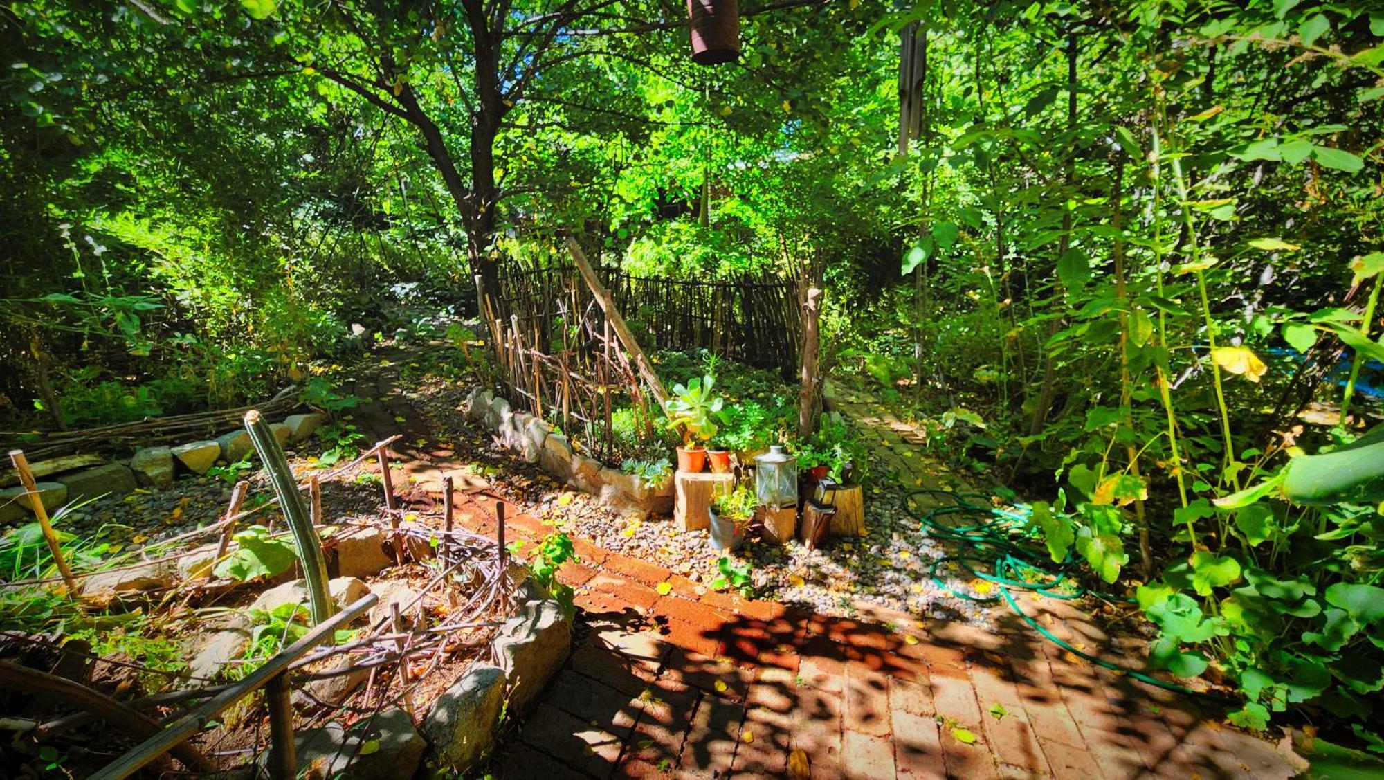 El Jardin, Eco Cabanas Boutique ซานอัลฟอนโซ ภายนอก รูปภาพ