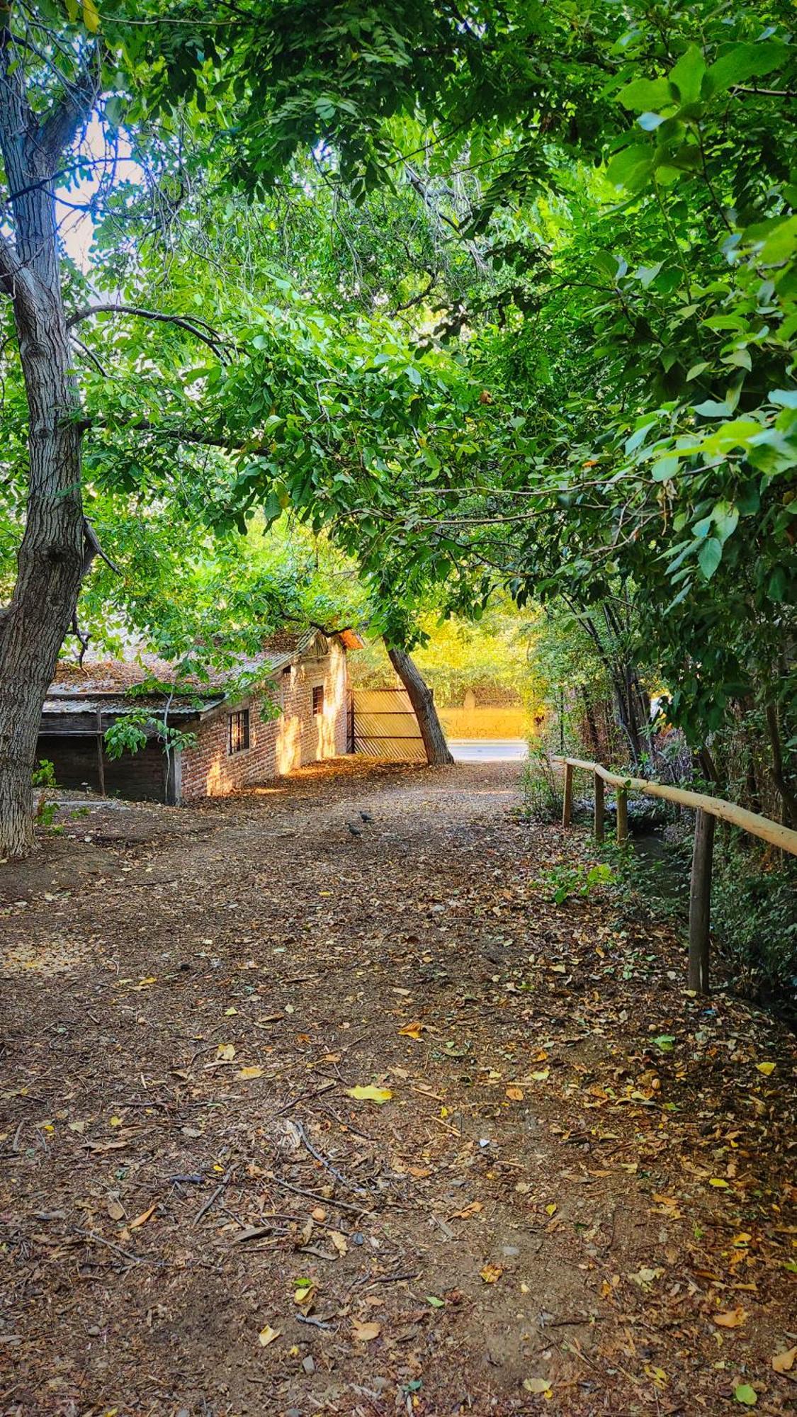 El Jardin, Eco Cabanas Boutique ซานอัลฟอนโซ ภายนอก รูปภาพ