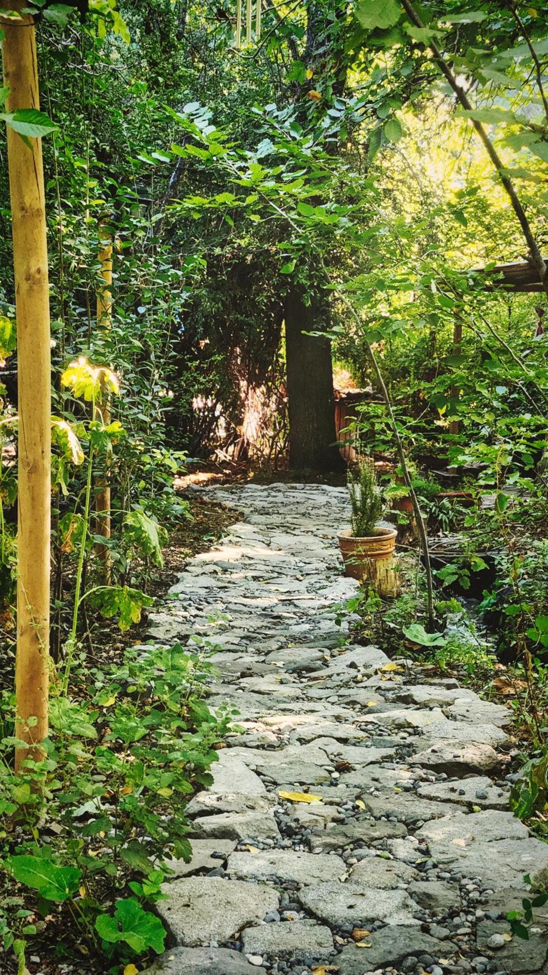 El Jardin, Eco Cabanas Boutique ซานอัลฟอนโซ ภายนอก รูปภาพ