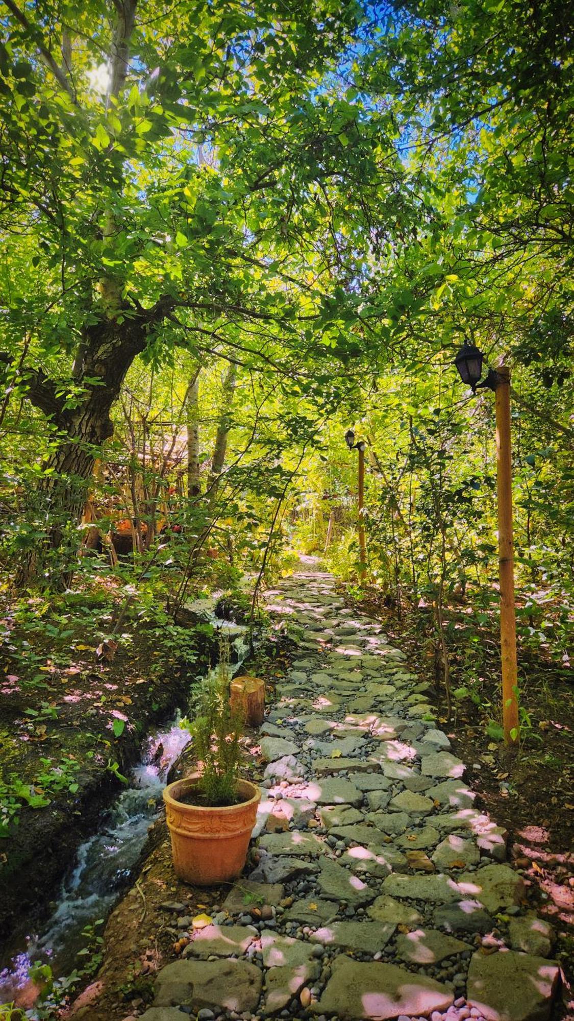 El Jardin, Eco Cabanas Boutique ซานอัลฟอนโซ ภายนอก รูปภาพ
