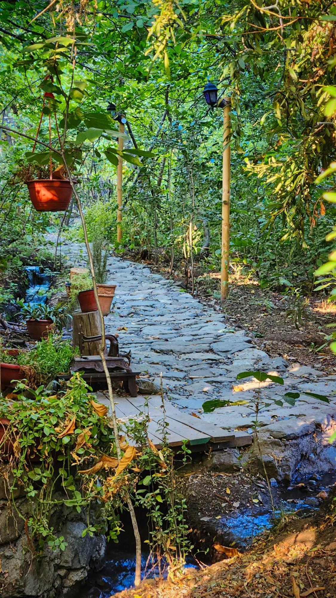 El Jardin, Eco Cabanas Boutique ซานอัลฟอนโซ ภายนอก รูปภาพ