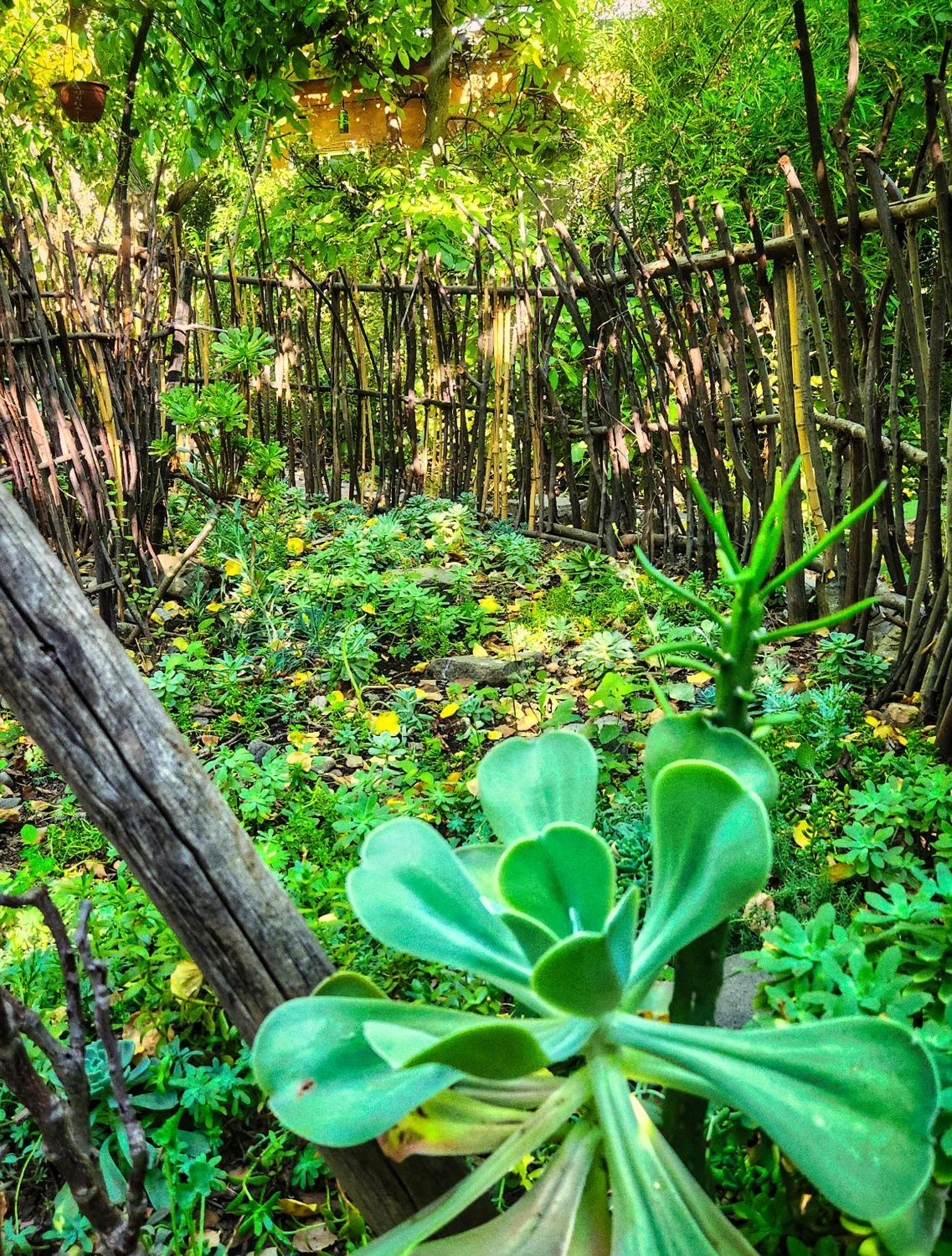 El Jardin, Eco Cabanas Boutique ซานอัลฟอนโซ ภายนอก รูปภาพ